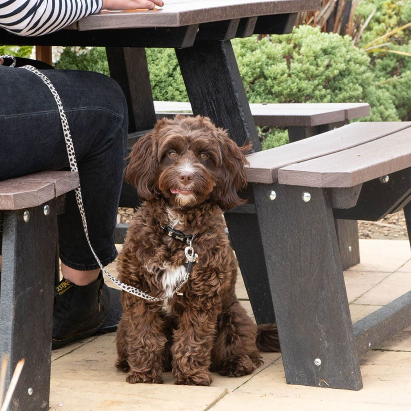 Your local dog friendly pub in Weedon